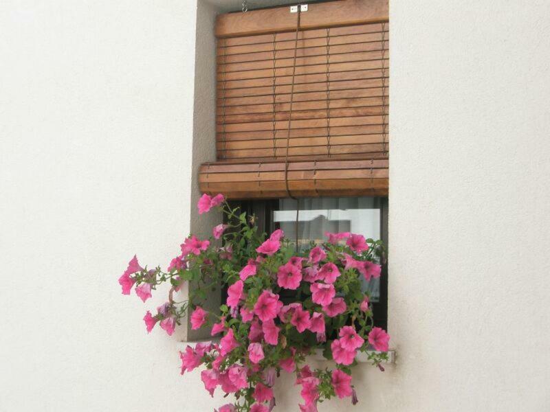 Apartamentos La Ribera Córdoba Exterior foto
